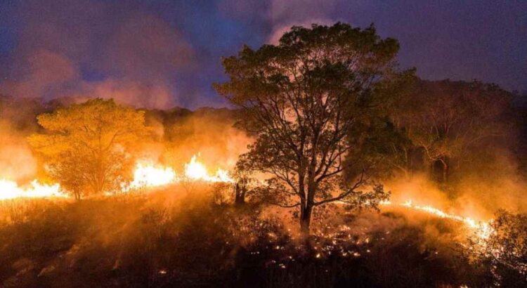 Foto: Combate Racismo Ambiental