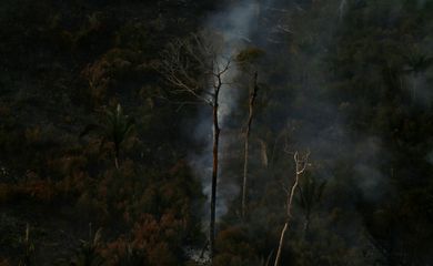 Foto: Agência Brasil - EBC