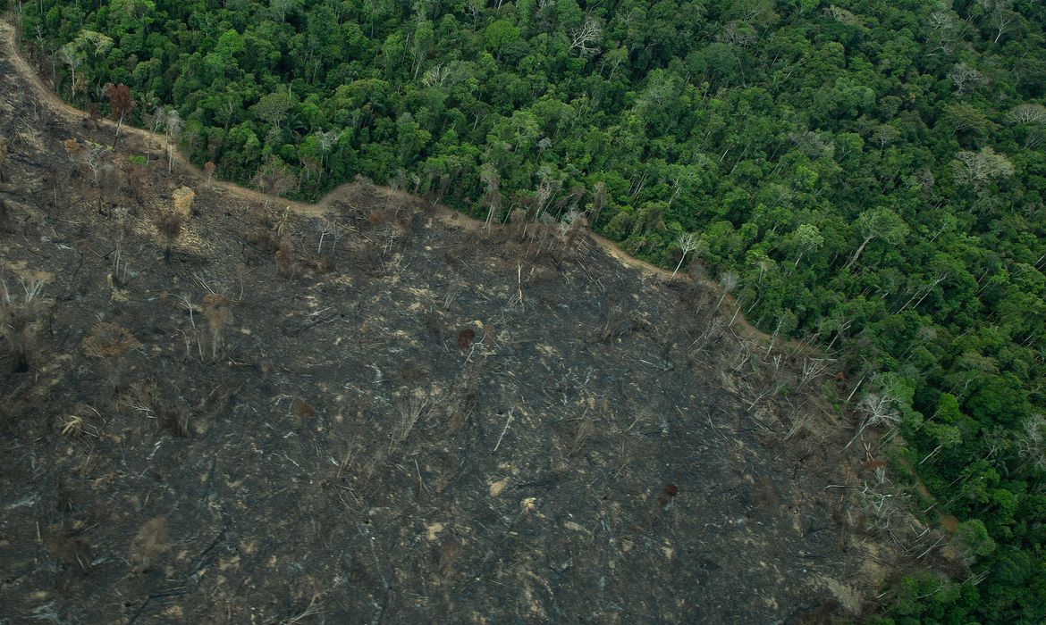 Foto: Agência Brasil - EBC