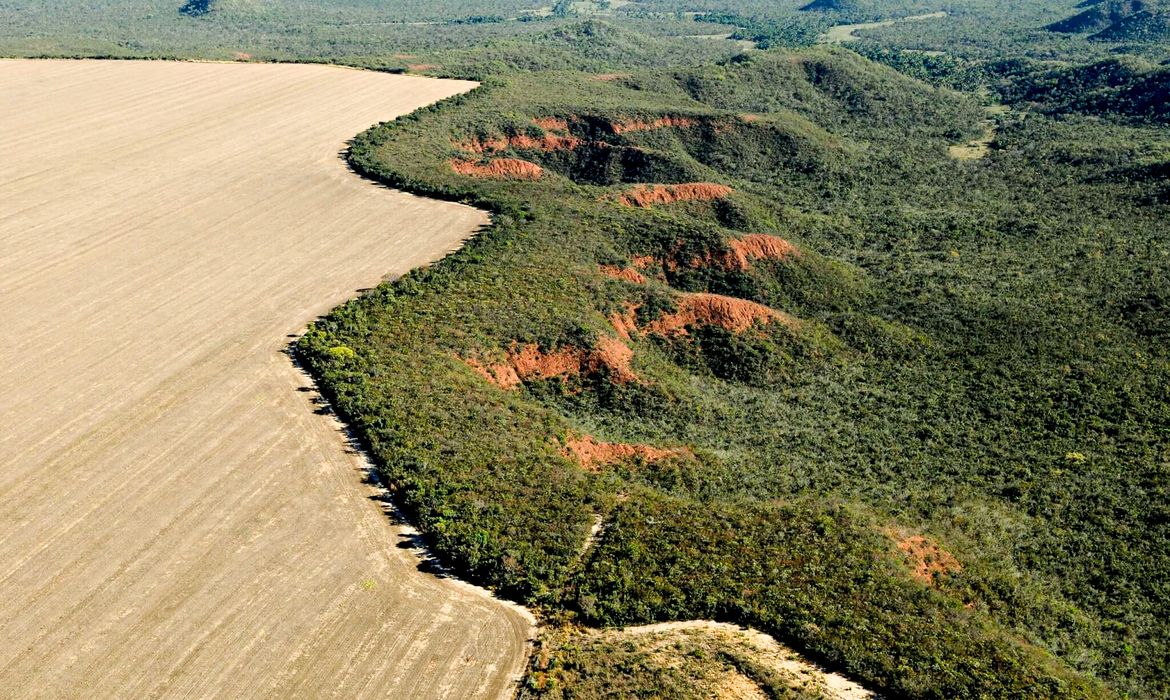 Foto: Agência Brasil - EBC