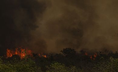 Foto: Agência Brasil - EBC