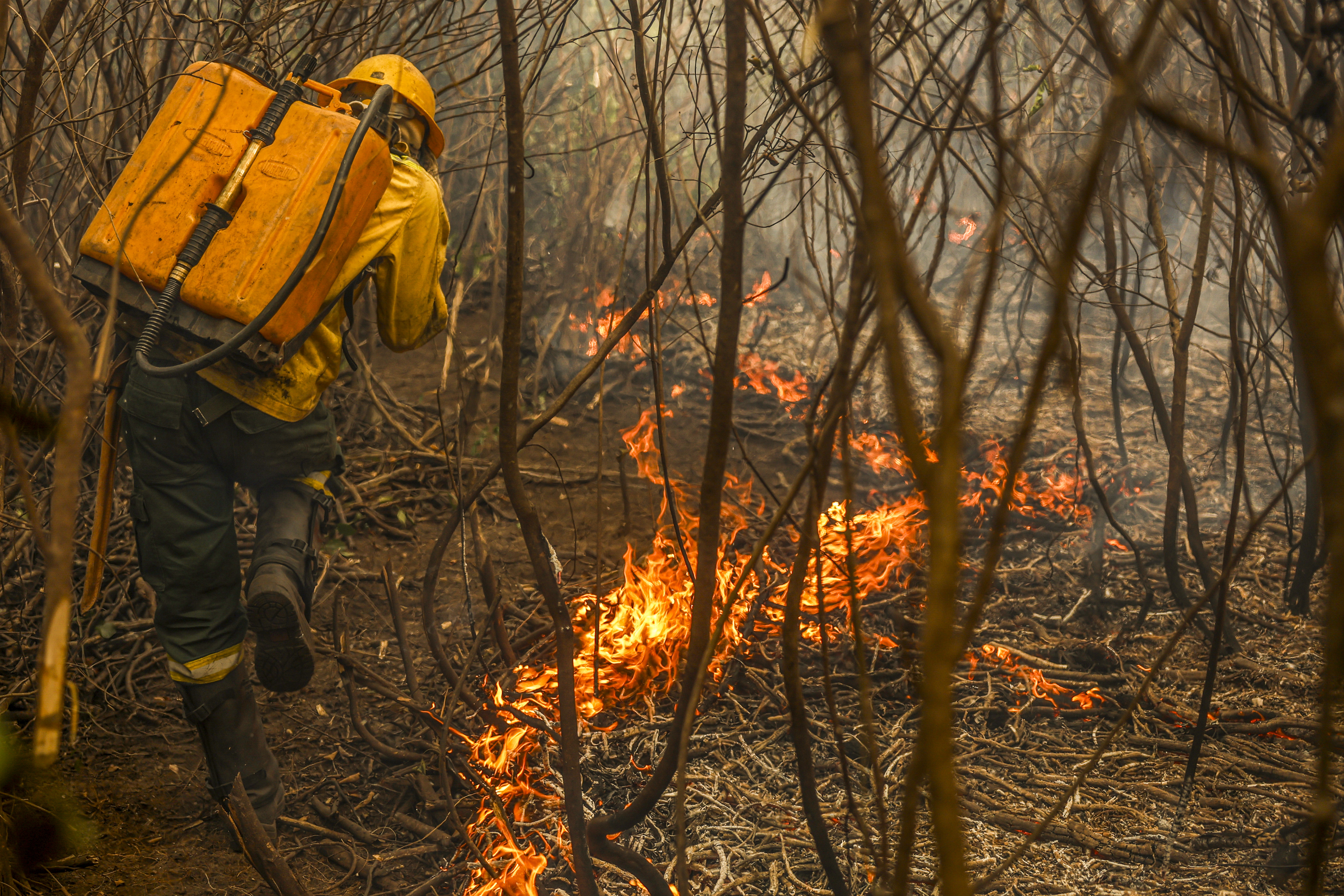 Foto: Marcelo Camargo/Agência Brasil - Agência Brasil/EBC