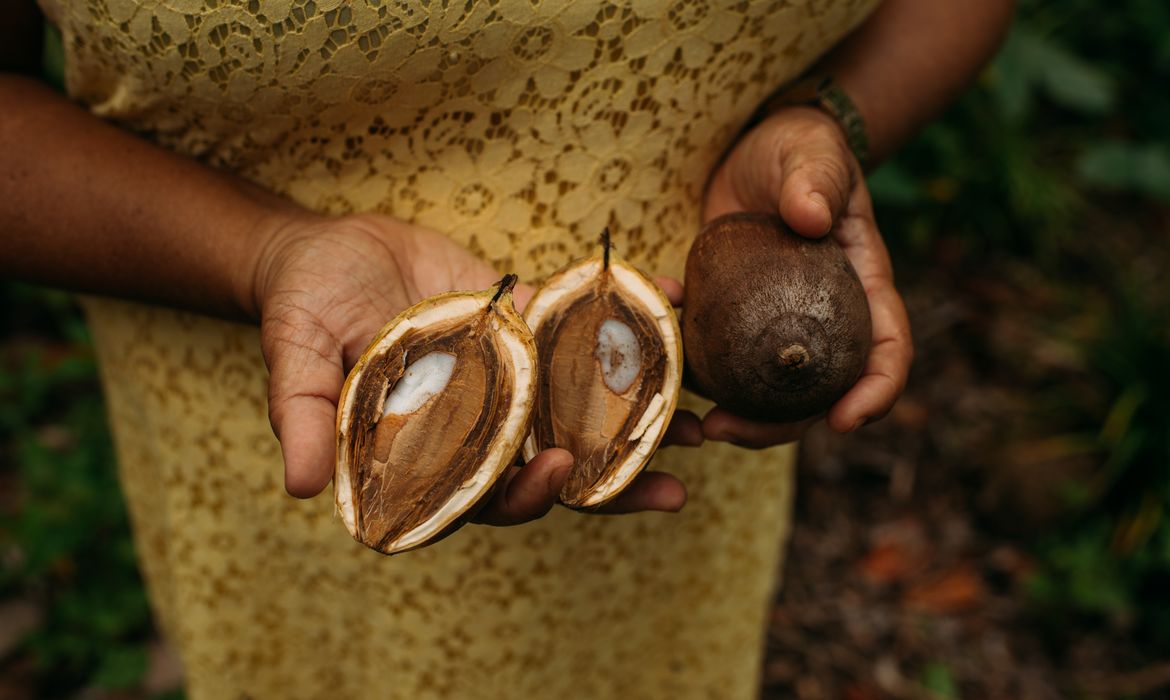 Foto: Agência Brasil - EBC