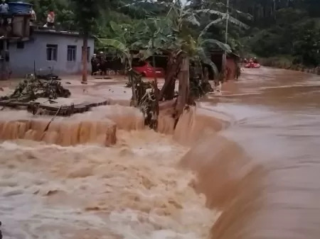 Foto: Jornal de Brasília